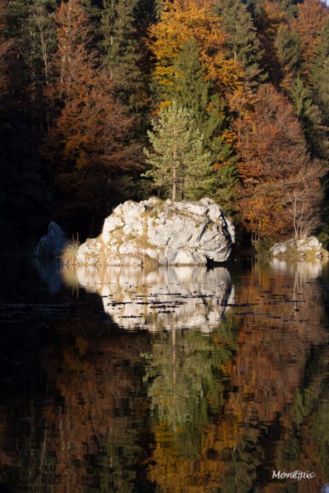 Landscape_MonEpic_Website-11