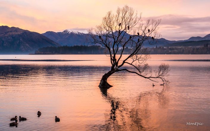 2018_wRT_NZ_Trip (8 of 39)